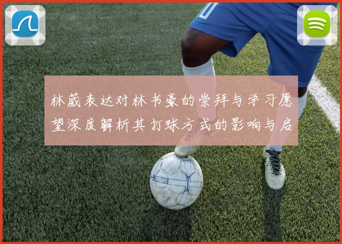 林葳表达对林书豪的崇拜与学习愿望深度解析其打球方式的影响与启发