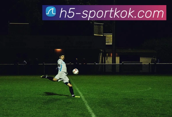 KOK体育APP 封面图